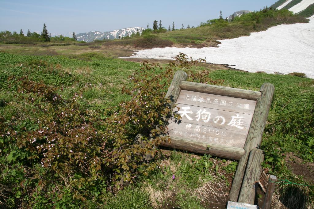 火打登山