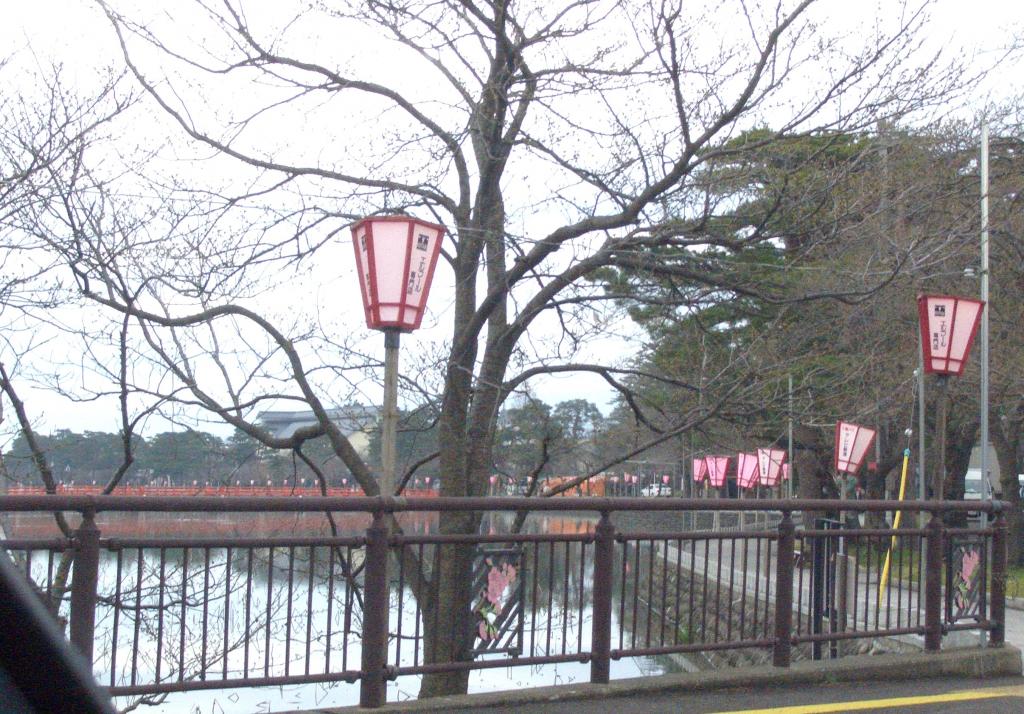 明日から観桜会