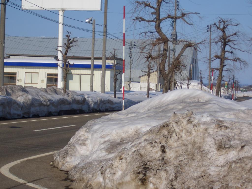 雪解けあとに