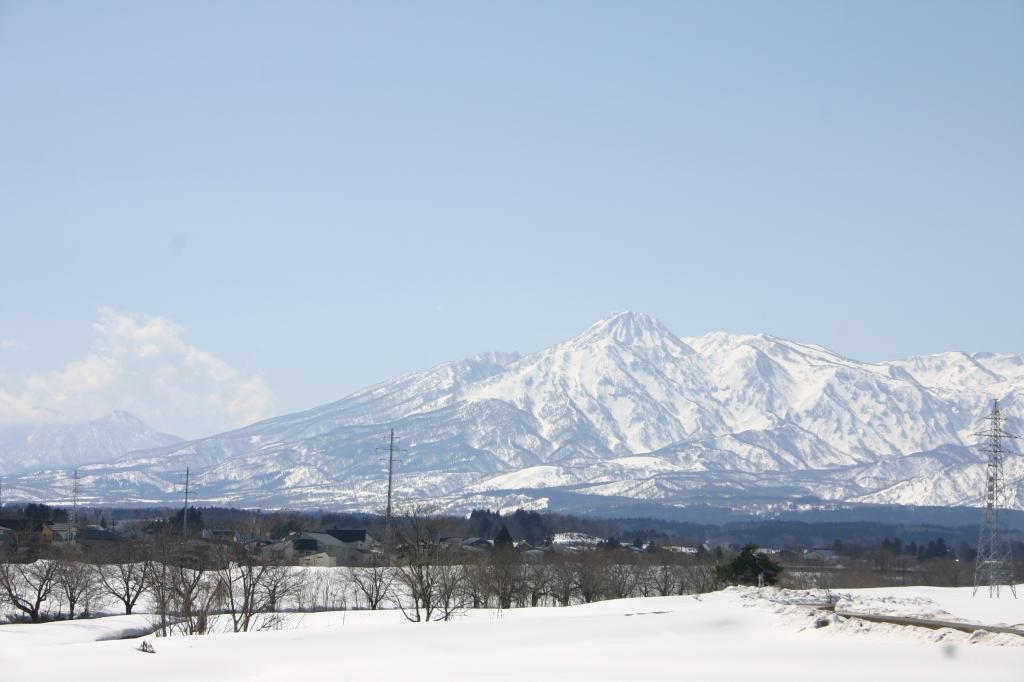 はね馬が見えました