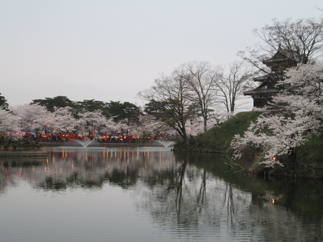 桜満開