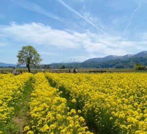 疲れたときは🌼