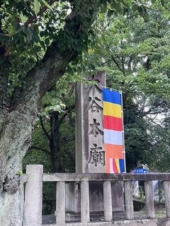 オヤジの京都…一人旅